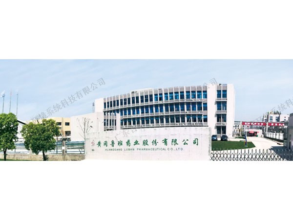 Huanggang Luban Pharmaceutical Co., Ltd.